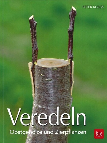 Klock veredeln obstgehölze - klock:, veredeln,