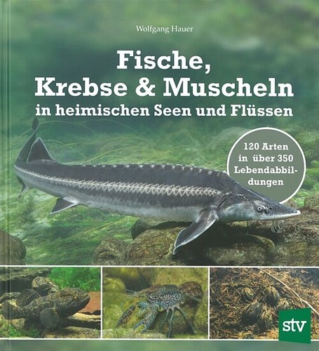 Hauer fische krebse muscheln - hauer:, fische/krebse/muscheln